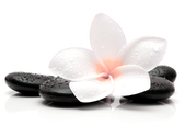 Picture of floating lily flower at bottom of 2nd web page for Asian Massage Therapy 515-305-9139