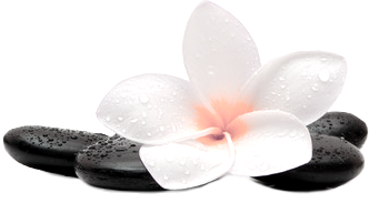 Picture of Floating Water Lily. Asian Massage Therapy   4347 MERLE HAY ROAD□ DES MOINES IOWA 50310 (515) 305-9139